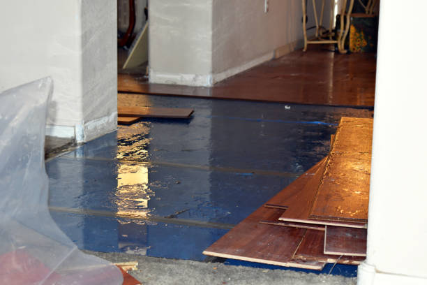 Professional Burst Pipe Cleanup technician working in Woodcliff Lake, NJ